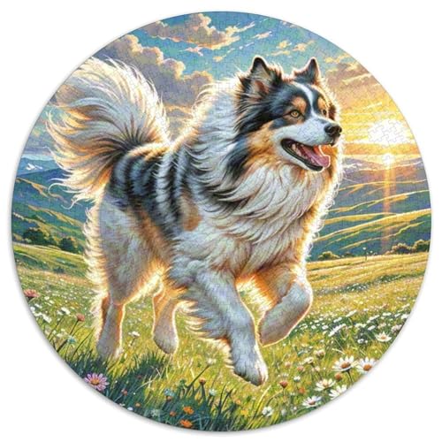 Lhasa Apso Puzzle 1000 Teile Rund Puzzles Erwachsene Und Kinder Croissant Circular Herausforderndes Spielzeug Lustiges Stressabbau Teenager Schwer 1000pcs (67.5x67.5cm) von RTTASVLZX