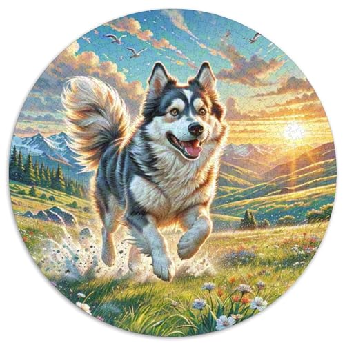 Lowchen Rund Puzzles 1000 Teile Erwachsene Und Kinder Puzzle Clevere Rätsel Geschenke Druck Schwieriges Verringerter Legespiel Spiele Geschicklichkeitsspiel Geschenk 1000pcs (67.5x67.5cm) von RTTASVLZX