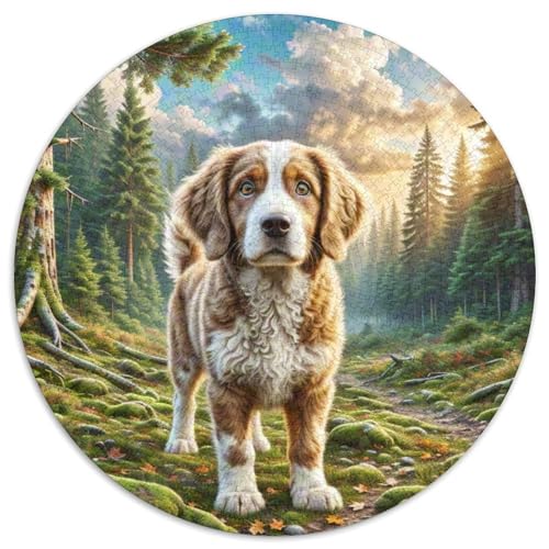 Lowchen Rund Puzzles 1000 Teile Erwachsene Und Kinder Puzzle Legespiel Spiele Geschicklichkeitsspiel Geschenk Spielabende Lernen Fordernde Kleinkinder 1000pcs (67.5x67.5cm) von RTTASVLZX