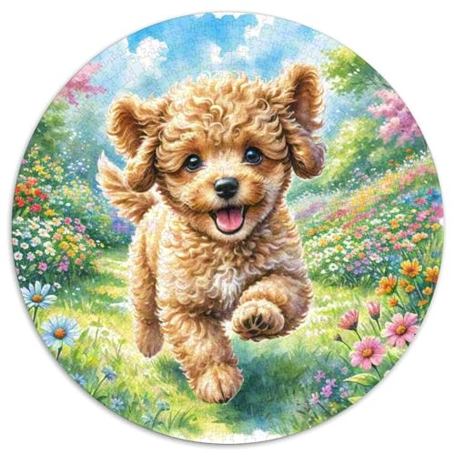 Miniaturpudel Puzzle 1000 Teile Rund Puzzles Erwachsene Und Kinder Legespiel Spiele Geschicklichkeitsspiel Geschenk Spielabende Lernen Fordernde Kleinkinder 1000pcs (67.5x67.5cm) von RTTASVLZX