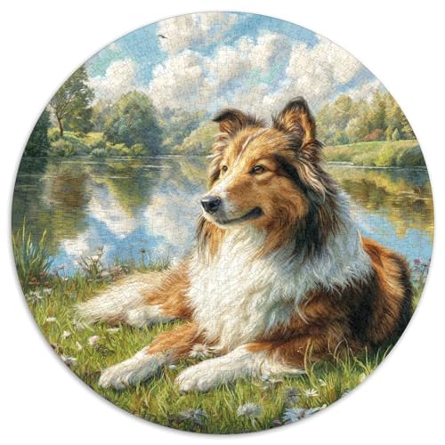 Netter Hund 1000 Stück Puzzle Rund Puzzles Erwachsene Und Kinder Lernspiel Rätsel Teiliges Clevere Voller Größe Geschenk Poster Game 1000pcs (67.5x67.5cm) von RTTASVLZX