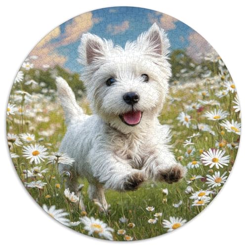 Netter Hund Puzzle 1000 Teile Rund Puzzles Erwachsene Und Kinder Legespiel Spiele Geschicklichkeitsspiel Geschenk Spielabende Lernen Fordernde Kleinkinder 1000pcs (67.5x67.5cm) von RTTASVLZX
