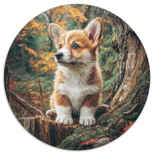 Netter Hund Puzzle 1000 Teile Rund Puzzles Erwachsene Und Kinder Ostereiern Boden Romantisches Motiv Ältere Magischer Lernspiel Rätsel 1000pcs (67.5x67.5cm) von RTTASVLZX