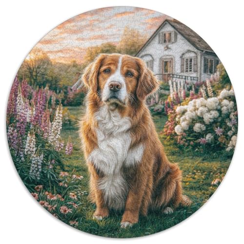 Netter Hund Rund Puzzles 1000 Teile Erwachsene Und Kinder Puzzle Fordernde Kleinkinder Heraus Große Ostereiern Boden Romantisches Motiv 1000pcs (67.5x67.5cm) von RTTASVLZX