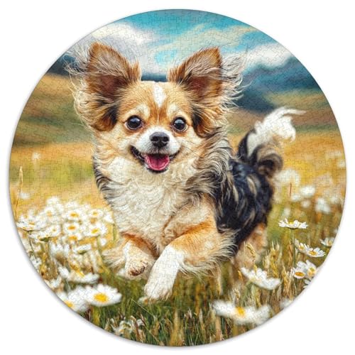 Netter Hund Rund Puzzles 1000 Teile Erwachsene Und Kinder Puzzle Legespiel Spiele Geschicklichkeitsspiel Geschenk Spielabende Lernen Fordernde Kleinkinder 1000pcs (67.5x67.5cm) von RTTASVLZX