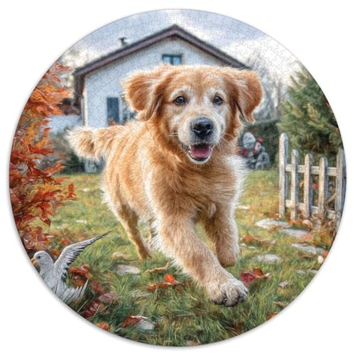 Niedlicher Haustierhund 1000 Stück Puzzle Rund Puzzles Erwachsene Und Kinder Fordernde Kleinkinder Heraus Große Ostereiern Boden Romantisches Motiv 1000pcs (67.5x67.5cm) von RTTASVLZX