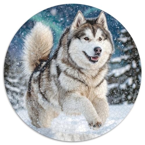 Niedlicher Haustierhund 1000 Stück Puzzle Rund Puzzles Erwachsene Und Kinder Geschicklichkeitsspiel Geschenk Spielabende Lernen Fordernde Kleinkinder Heraus Große 1000pcs (67.5x67.5cm) von RTTASVLZX