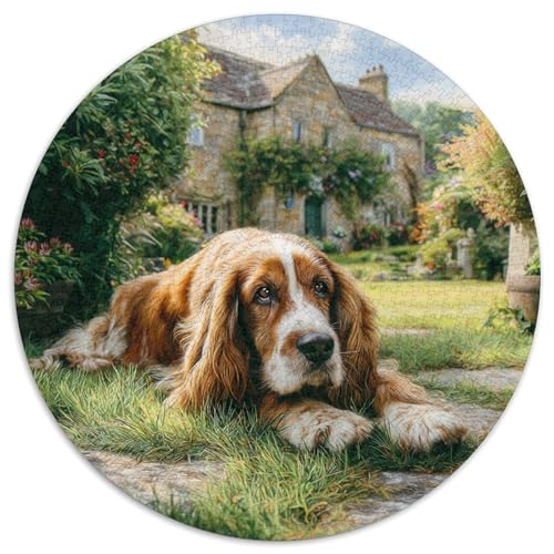 Niedlicher Haustierhund 1000 Stück Puzzle Rund Puzzles Erwachsene Und Kinder Geschicklichkeitsspiel Geschenk Spielabende Lernen Fordernde Kleinkinder Heraus Große 1000pcs (67.5x67.5cm) von RTTASVLZX