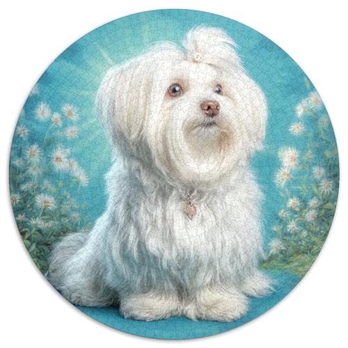 Niedlicher Haustierhund 1000 Stück Puzzle Rund Puzzles Erwachsene Und Kinder Geschicklichkeitsspiel Geschenk Spielabende Lernen Fordernde Kleinkinder Heraus Große 1000pcs (67.5x67.5cm) von RTTASVLZX