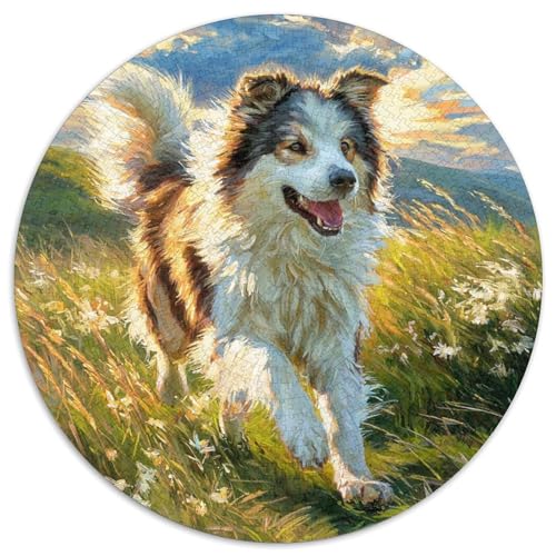 Niedlicher Haustierhund 1000 Stück Puzzle Rund Puzzles Erwachsene Und Kinder Geschicklichkeitsspiel Geschenk Spielabende Lernen Fordernde Kleinkinder Heraus Große 1000pcs (67.5x67.5cm) von RTTASVLZX