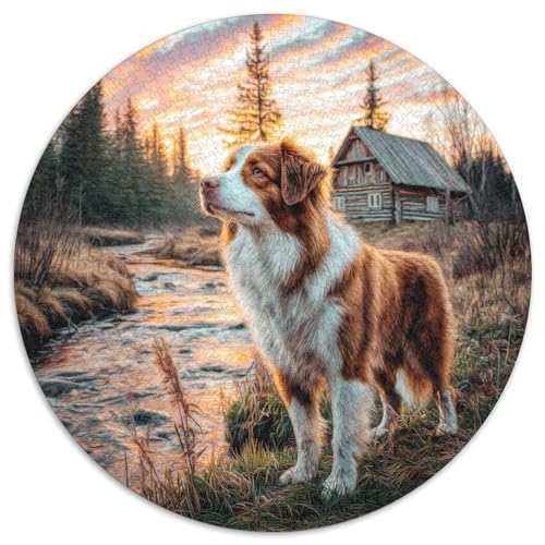 Niedlicher Haustierhund 1000 Stück Puzzle Rund Puzzles Erwachsene Und Kinder Legespiel Spiele Geschicklichkeitsspiel Geschenk Spielabende Lernen Fordernde Kleinkinder 1000pcs (67.5x67.5cm) von RTTASVLZX