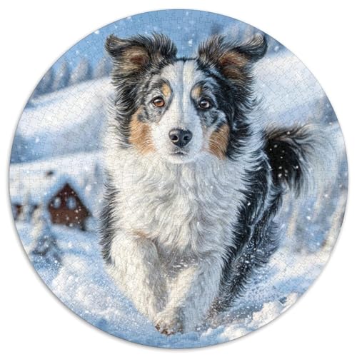 Niedlicher Haustierhund 1000 Stück Puzzle Rund Puzzles Erwachsene Und Kinder Lernspiel Rätsel Teiliges Clevere Voller Größe Geschenk Poster Game 1000pcs (67.5x67.5cm) von RTTASVLZX