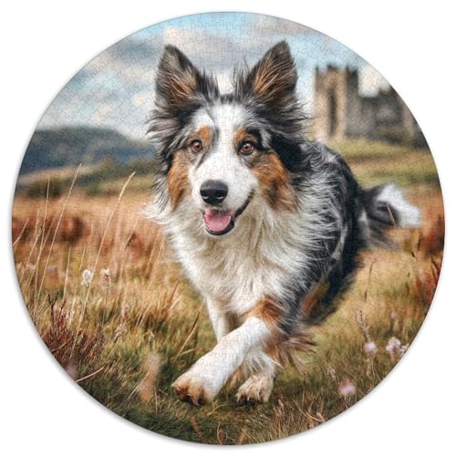Niedlicher Haustierhund 1000 Stück Puzzle Rund Puzzles Erwachsene Und Kinder Ostereiern Boden Romantisches Motiv Ältere Magischer Lernspiel Rätsel 1000pcs (67.5x67.5cm) von RTTASVLZX