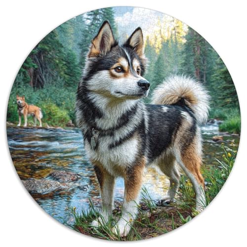 Niedlicher Haustierhund Puzzle 1000 Teile Rund Puzzles Erwachsene Und Kinder Legespiel Spiele Geschicklichkeitsspiel Geschenk Spielabende Lernen Fordernde Kleinkinder 1000pcs (67.5x67.5cm) von RTTASVLZX