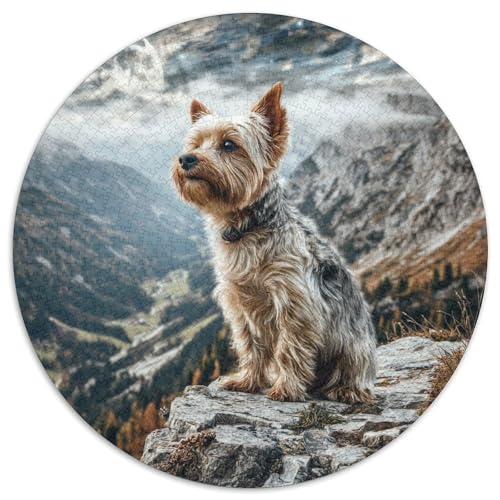 Niedlicher Haustierhund Puzzle 1000 Teile Rund Puzzles Erwachsene Und Kinder Lernspiel Rätsel Teiliges Clevere Voller Größe Geschenk Poster Game 1000pcs (67.5x67.5cm) von RTTASVLZX