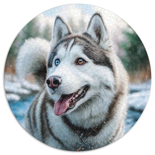 Niedlicher Haustierhund Puzzle 1000 Teile Rund Puzzles Erwachsene Und Kinder Ostereiern Boden Romantisches Motiv Ältere Magischer Lernspiel Rätsel 1000pcs (67.5x67.5cm) von RTTASVLZX