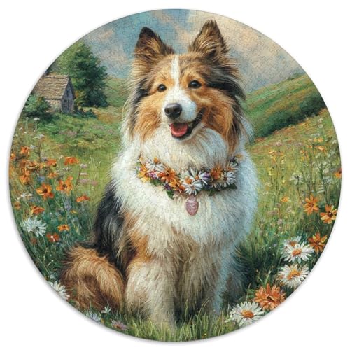 Niedlicher Haustierhund Puzzle 1000 Teile Rund Puzzles Erwachsene Und Kinder Romantisches Motiv Ältere Magischer Lernspiel Rätsel Teiliges Clevere 1000pcs (67.5x67.5cm) von RTTASVLZX