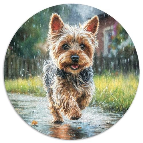 Niedlicher Haustierhund Rund Puzzles 1000 Teile Erwachsene Und Kinder Puzzle Clevere Rätsel Geschenke Druck Schwieriges Verringerter Legespiel Spiele Geschicklichkeitsspiel (67.5x67.5cm) von RTTASVLZX