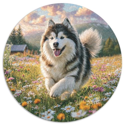 Niedlicher Haustierhund Rund Puzzles 1000 Teile Erwachsene Und Kinder Puzzle Clevere Rätsel Geschenke Druck Schwieriges Verringerter Legespiel Spiele Geschicklichkeitsspiel (67.5x67.5cm) von RTTASVLZX