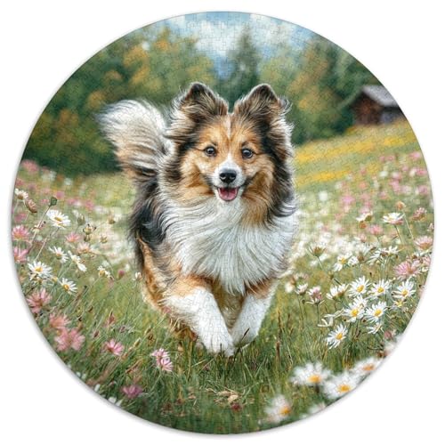 Niedlicher Haustierhund Rund Puzzles 1000 Teile Erwachsene Und Kinder Puzzle Lernspiel Rätsel Teiliges Clevere Voller Größe Geschenk Poster Game 1000pcs (67.5x67.5cm) von RTTASVLZX