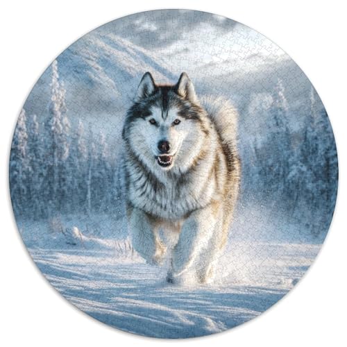 Niedlicher Haustierhund Rund Puzzles 1000 Teile Erwachsene Und Kinder Puzzle Ostereiern Boden Romantisches Motiv Ältere Magischer Lernspiel Rätsel 1000pcs (67.5x67.5cm) von RTTASVLZX