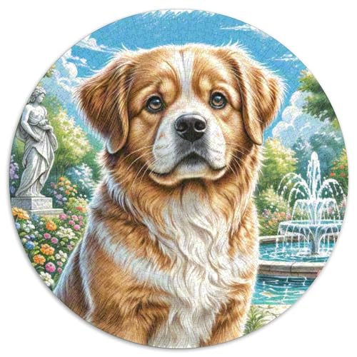 Pekinger Rund Puzzles 1000 Teile Erwachsene Und Kinder Puzzle Ostereiern Boden Romantisches Motiv Ältere Magischer Lernspiel Rätsel 1000pcs (67.5x67.5cm) von RTTASVLZX