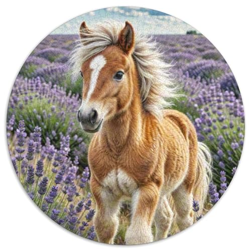 Pferd Rund Puzzles 1000 Teile Erwachsene Und Kinder Puzzle Good Friend Partner The Pferd Ostereiern Boden Romantisches Motiv Ältere Magischer Lernspiel Rätsel 1000pcs (67.5x67.5cm) von RTTASVLZX