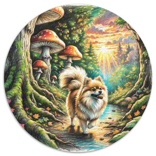 Pommern 1000 Stück Puzzle Rund Puzzles Erwachsene Und Kinder Legespiel Spiele Geschicklichkeitsspiel Geschenk Spielabende Lernen Fordernde Kleinkinder 1000pcs (67.5x67.5cm) von RTTASVLZX