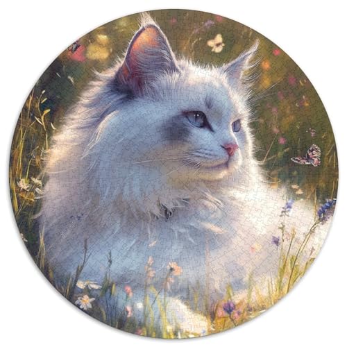 Ragdoll 1000 Stück Puzzle Rund Puzzles Erwachsene Und Kinder Legespiel Spiele Geschicklichkeitsspiel Geschenk Spielabende Lernen Fordernde Kleinkinder 1000pcs (67.5x67.5cm) von RTTASVLZX