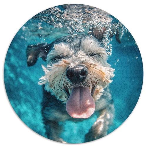 Schnauzer Puzzle 1000 Teile Rund Puzzles Erwachsene Und Kinder Legespiel Spiele Geschicklichkeitsspiel Geschenk Spielabende Lernen Fordernde Kleinkinder 1000pcs (67.5x67.5cm) von RTTASVLZX