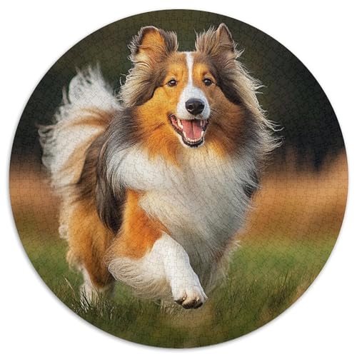 Shetlandsherhund Puzzle 1000 Teile Rund Puzzles Erwachsene Und Kinder Croissant Circular Herausforderndes Spielzeug Lustiges Stressabbau Teenager Schwer 1000pcs (67.5x67.5cm) von RTTASVLZX