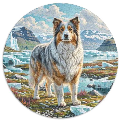 Shetlandsherhund Puzzle 1000 Teile Rund Puzzles Erwachsene Und Kinder Guter Freund Partner Haustier Ostereiern Boden Romantisches Motiv Ältere Magischer Lernspiel Rätsel 1000pcs (67.5x67.5cm) von RTTASVLZX