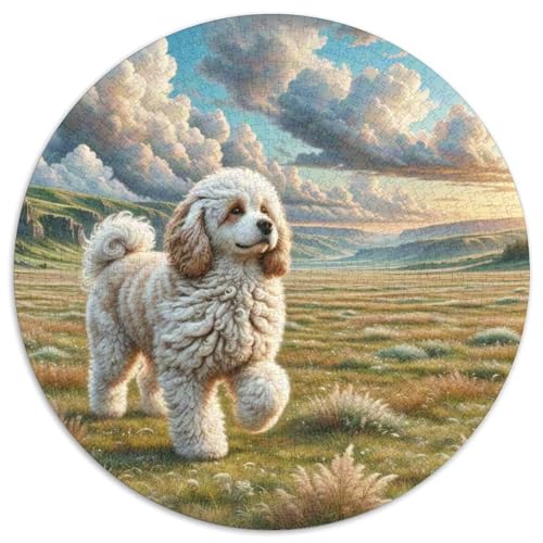 Shih Tzu Rund Puzzles 1000 Teile Erwachsene Und Kinder Puzzle Clevere Rätsel Geschenke Druck Schwieriges Verringerter Legespiel Spiele Geschicklichkeitsspiel Geschenk 1000pcs (67.5x67.5cm) von RTTASVLZX