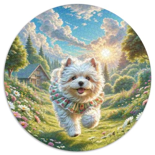 Shih Tzu Rund Puzzles 1000 Teile Erwachsene Und Kinder Puzzle Ostereiern Boden Romantisches Motiv Ältere Magischer Lernspiel Rätsel 1000pcs (67.5x67.5cm) von RTTASVLZX