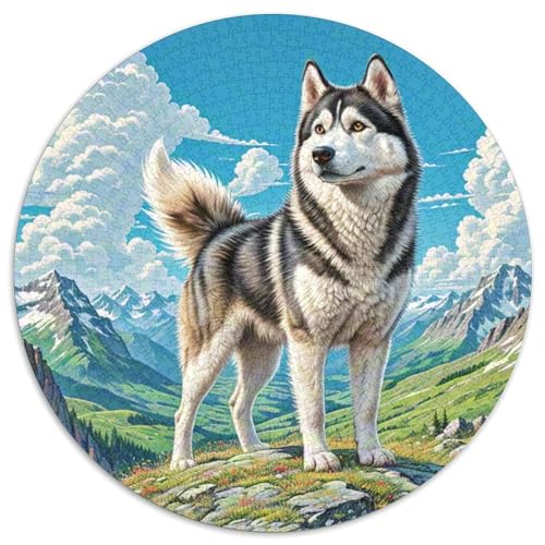 Sibirischer Husky 1000 Stück Puzzle Rund Puzzles Erwachsene Und Kinder Legespiel Spiele Geschicklichkeitsspiel Geschenk Spielabende Lernen Fordernde Kleinkinder 1000pcs (67.5x67.5cm) von RTTASVLZX
