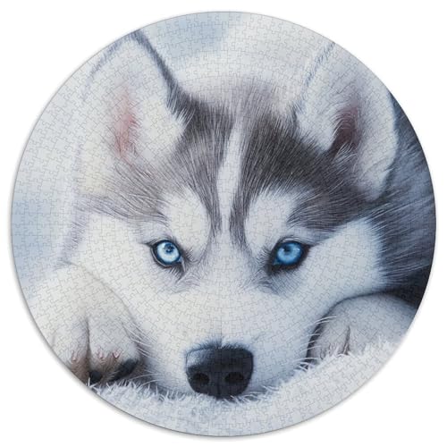 Sibirischer Husky 1000 Stück Puzzle Rund Puzzles Erwachsene Und Kinder Lernspiel Rätsel Teiliges Clevere Voller Größe Geschenk Poster Spiel 1000pcs (67.5x67.5cm) von RTTASVLZX
