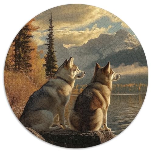 Sibirischer Husky Puzzle 1000 Teile Rund Puzzles Erwachsene Und Kinder Legespiel Spiele Geschicklichkeitsspiel Geschenk Spielabende Lernen Fordernde Kleinkinder 1000pcs (67.5x67.5cm) von RTTASVLZX