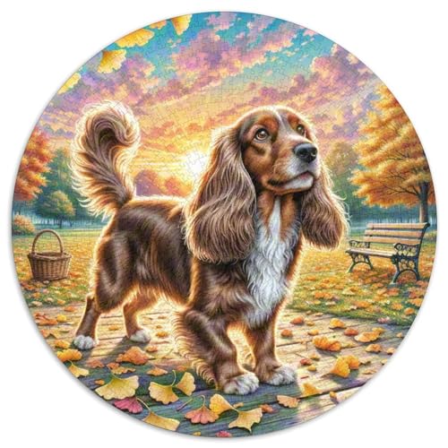 Spielzeug Langhaarer Ohrhund Rund Puzzles 1000 Teile Erwachsene Und Kinder Puzzle Geschicklichkeitsspiel Geschenk Spielabende Lernen Fordernde Kleinkinder Heraus Große 1000pcs (67.5x67.5cm) von RTTASVLZX