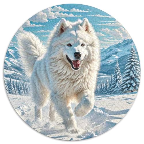 The Amerikanischer Eskimo Hund Puzzle 1000 Teile Rund Puzzles Erwachsene Und Kinder Ostereiern Boden Romantisches Motiv Ältere Magischer Lernspiel Rätsel 1000pcs (67.5x67.5cm) von RTTASVLZX