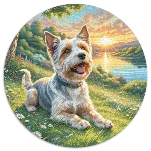 Walisischer Terrier 1000 Stück Puzzle Rund Puzzles Erwachsene Und Kinder Ältere Magischer Lernspiel Rätsel Teiliges Clevere Voller Größe Geschenk 1000pcs (67.5x67.5cm) von RTTASVLZX