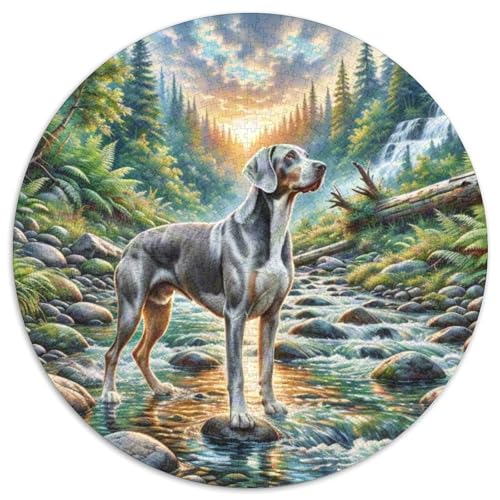 Weimaraner Puzzle 1000 Teile Rund Puzzles Erwachsene Und Kinder Ostereiern Boden Romantisches Motiv Ältere Magischer Lernspiel Rätsel 1000pcs (67.5x67.5cm) von RTTASVLZX