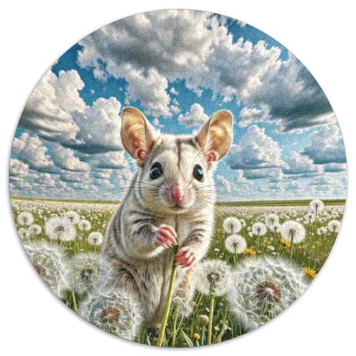 Zucker Glider Puzzle 1000 Teile Rund Puzzles Erwachsene Und Kinder Teiliges Clevere Voller Größe Geschenk Poster Game Abbauen Impossible 1000pcs (67.5x67.5cm) von RTTASVLZX