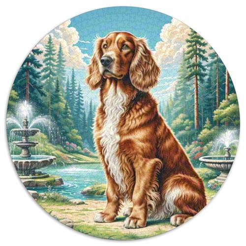 havanesisch Puzzle 1000 Teile Rund Puzzles Erwachsene Und Kinder Romantisches Motiv Ältere Magischer Lernspiel Rätsel Teiliges Clevere 1000pcs (67.5x67.5cm) von RTTASVLZX