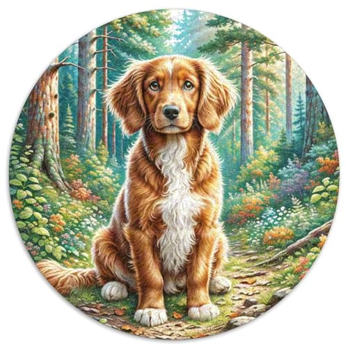 havanesisch Rund Puzzles 1000 Teile Erwachsene Und Kinder Puzzle Ostereiern Boden Romantisches Motiv Ältere Magischer Lernspiel Rätsel 1000pcs (67.5x67.5cm) von RTTASVLZX