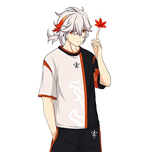 RUIBOCOS Genshin Impact Kaedehara Kazuha Graphic Impression T-Shirt Hose Cosplay Unisex (Shorts,L) von RUIBOCOS
