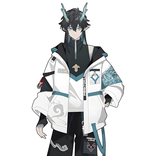 RUIBOCOS HonKai Star Rail Imbibitor Lunae Dan Heng Element Hoodie Mantel Hose Anzug Cosplay Kostüme Unisex (Mantel,M) von RUIBOCOS