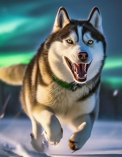 1000 Teile Puzzles - Siberians Huskys Dog Painting - Spiele Zum Stressabbau In Der Familie - Erwachsene Challenge Game - Wand Kunst Dekoration Wd01Zt von RUIYANMQ