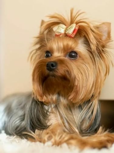 1000 Teile Puzzles - Yorkshike Terriers Dog Plakate - Irreguläres Kunst-Puzzle - Puzzles Für Ältere Erwachsene - Erwachsene Familie Stress Relief Puzzle Spielzeug Wd01Zt von RUIYANMQ