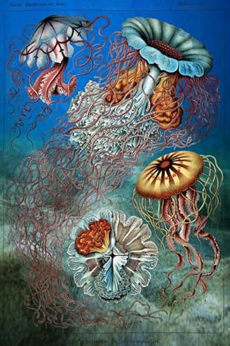 1000 Teile - Sea Animals Jellyfishs Kunst Plakate - Buntes Puzzle - Lernspielzeug Für Adult - Familie Spaß Herausforderung Spielzeug Wd01Zt von RUIYANMQ