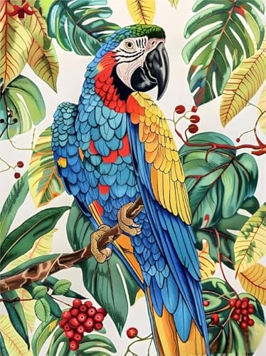 Colour Puzzle, Parrotss Birds Animal Bild Painting ，Für Erwachsene Personalisiert Herausforderung Spielzeug ，Wand Kunst Dekoration ，1000 Teile Puzzles Wn284Zk von RUIYANMQ